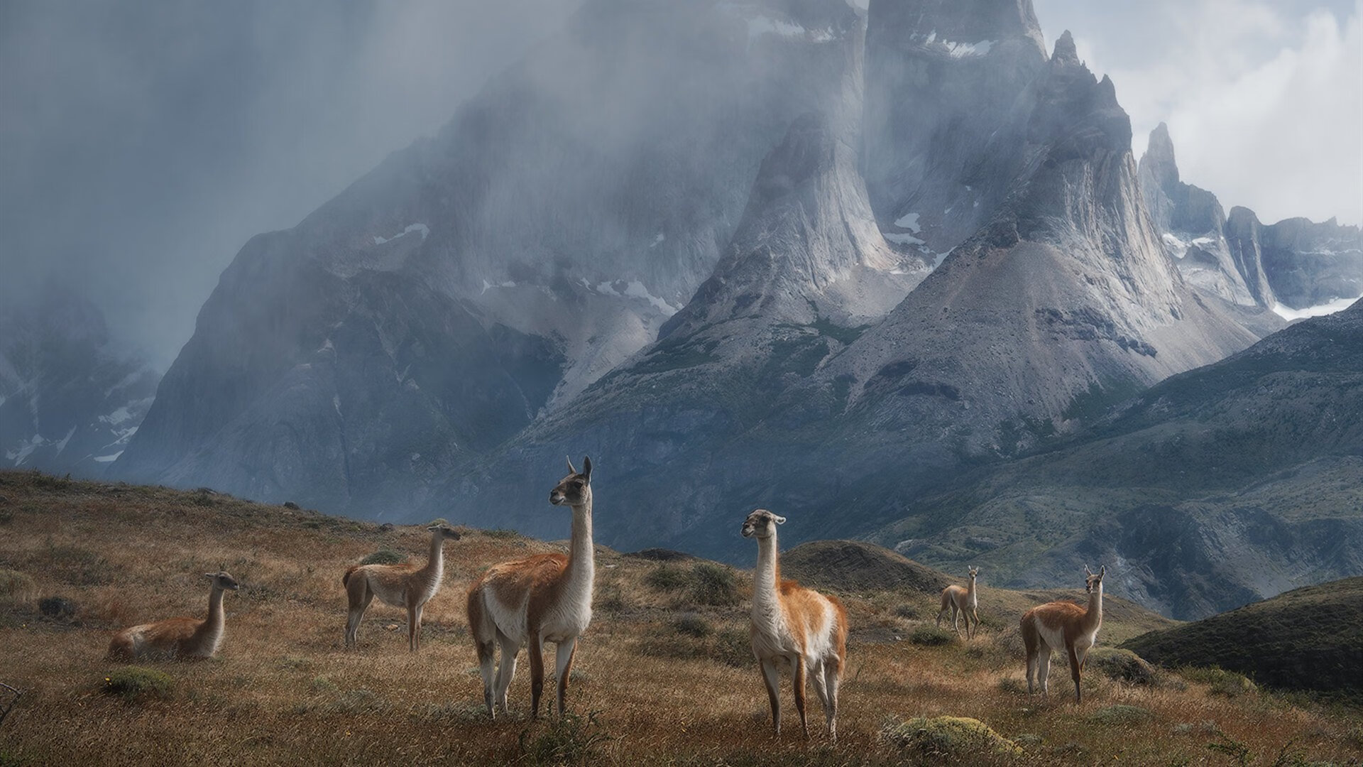 当老鹰展翅，美加墨世界杯上，亚特兰大的足球哲学如何驯服猛龙