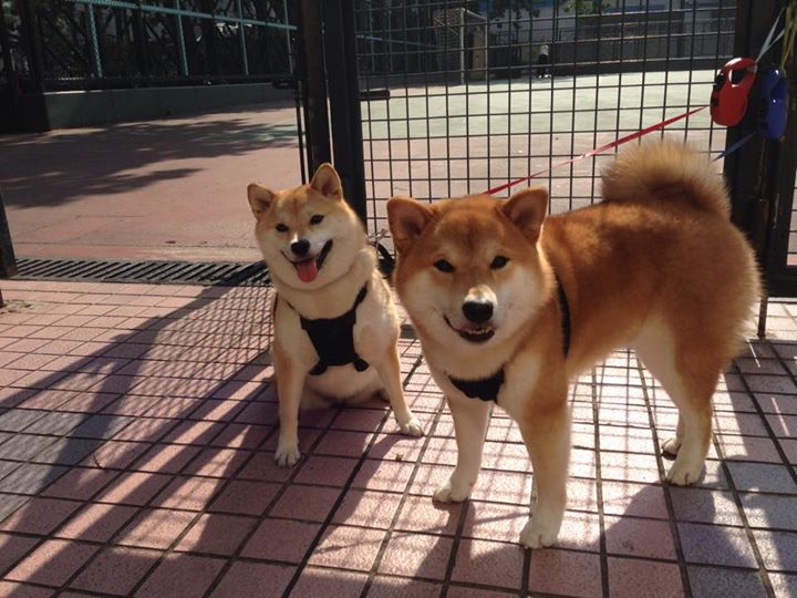 绝境之王，努涅斯末节爆发，一锤定音改写世界排名版图