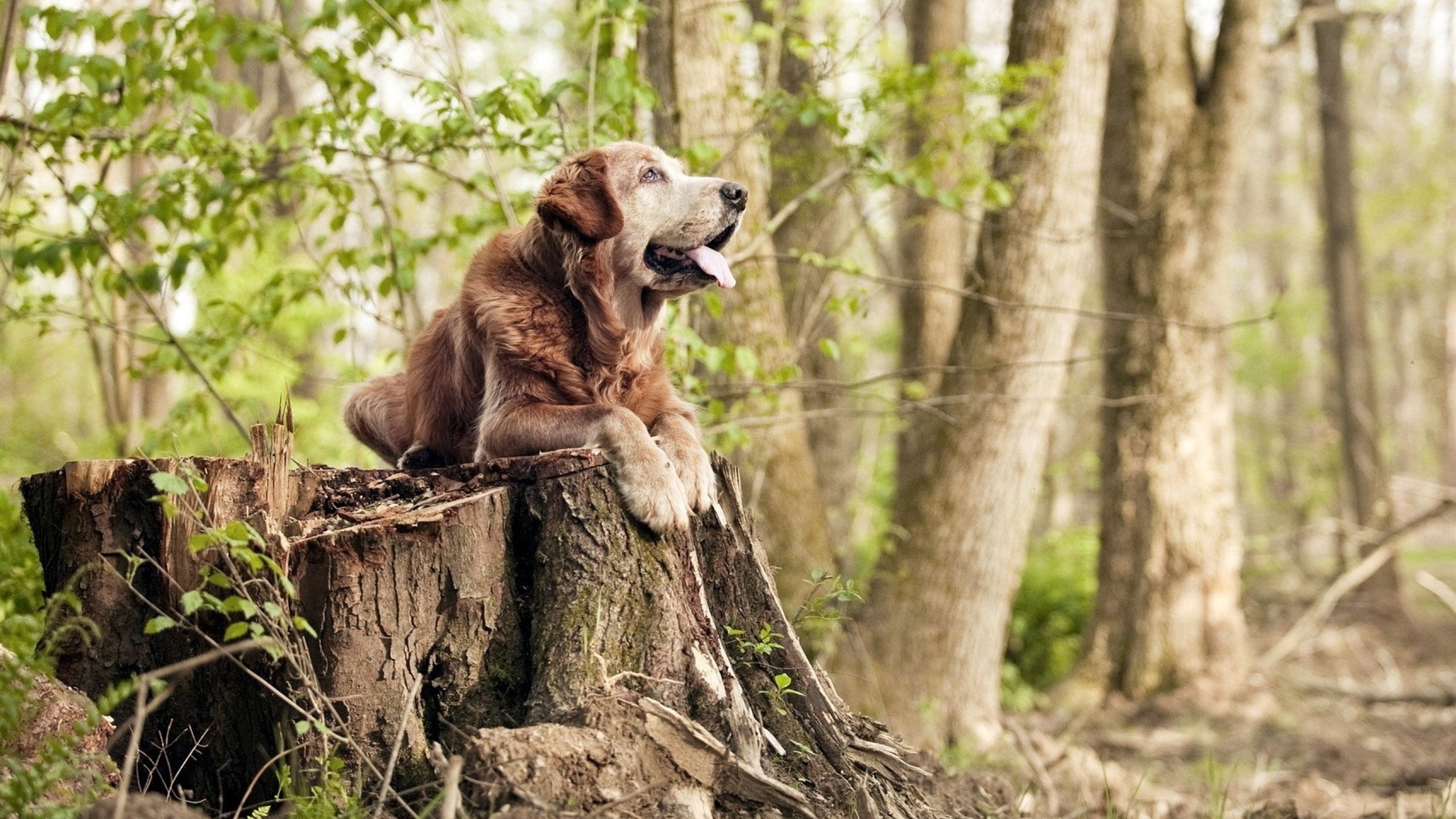 铁血壁垒与孤峰接管，当防守绞杀与个人英雄主义跨越时空对话