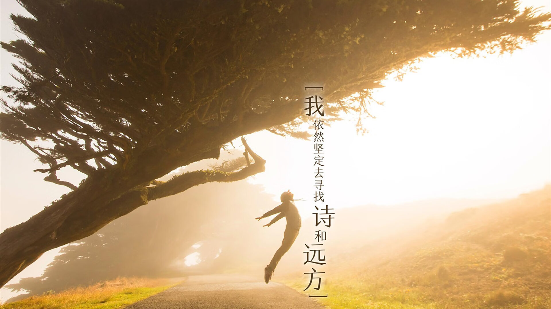 当圣保罗球场的蓝色，遇见特兰加雄狮的咆哮—2026，那不勒斯球员亲手拆解自己的王朝