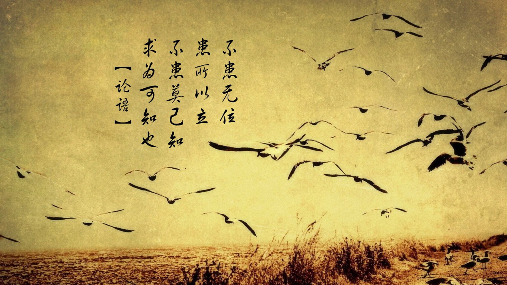 开云体育平台APP-广厦血洗76人，当东方铁军碾过费城巨舰