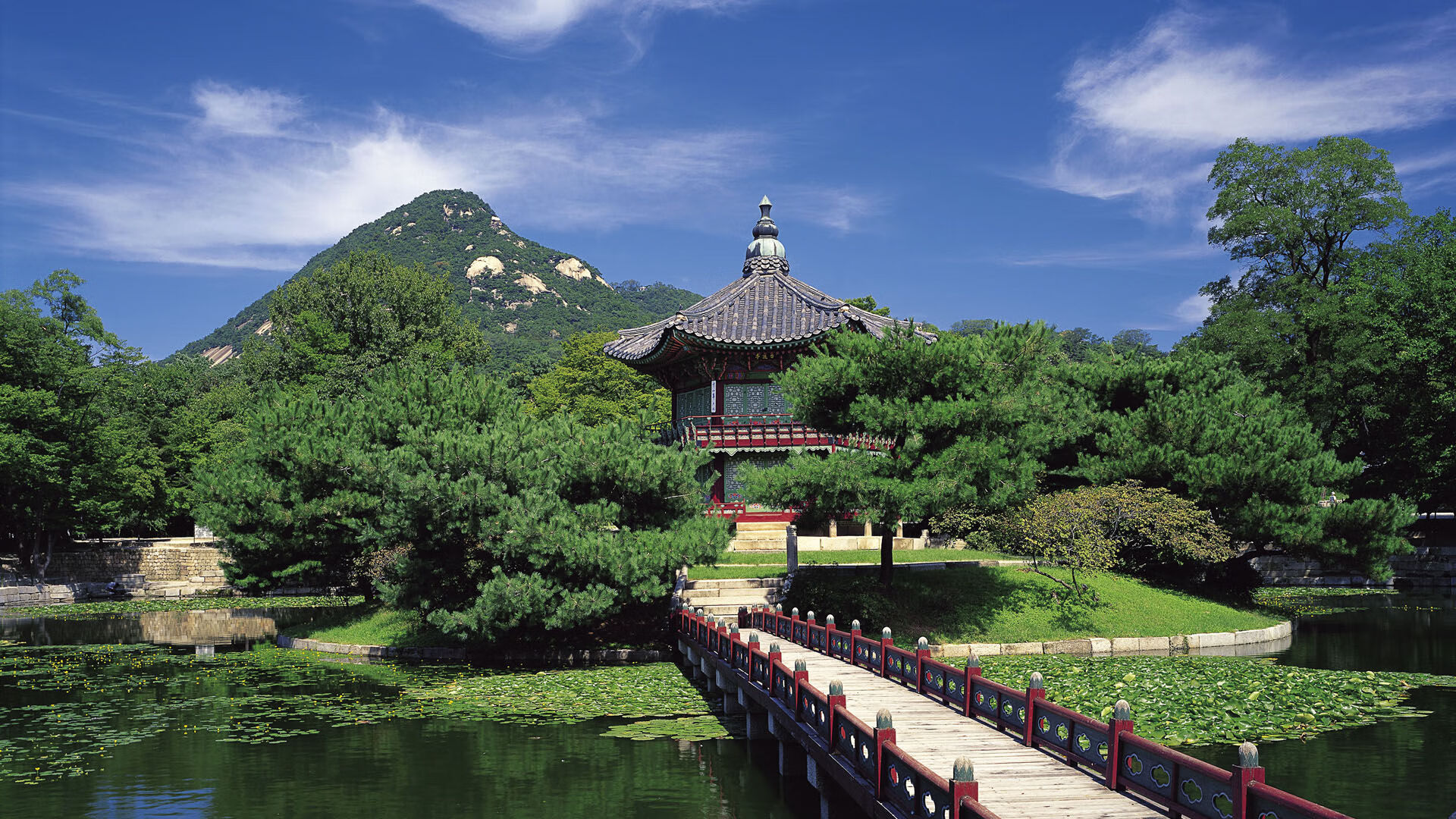 战术革命与唯一艺术家,迪亚斯如何在2026世界杯E组焦点战中定义保加利亚的钢铁防线与波兰的碎裂黄昏