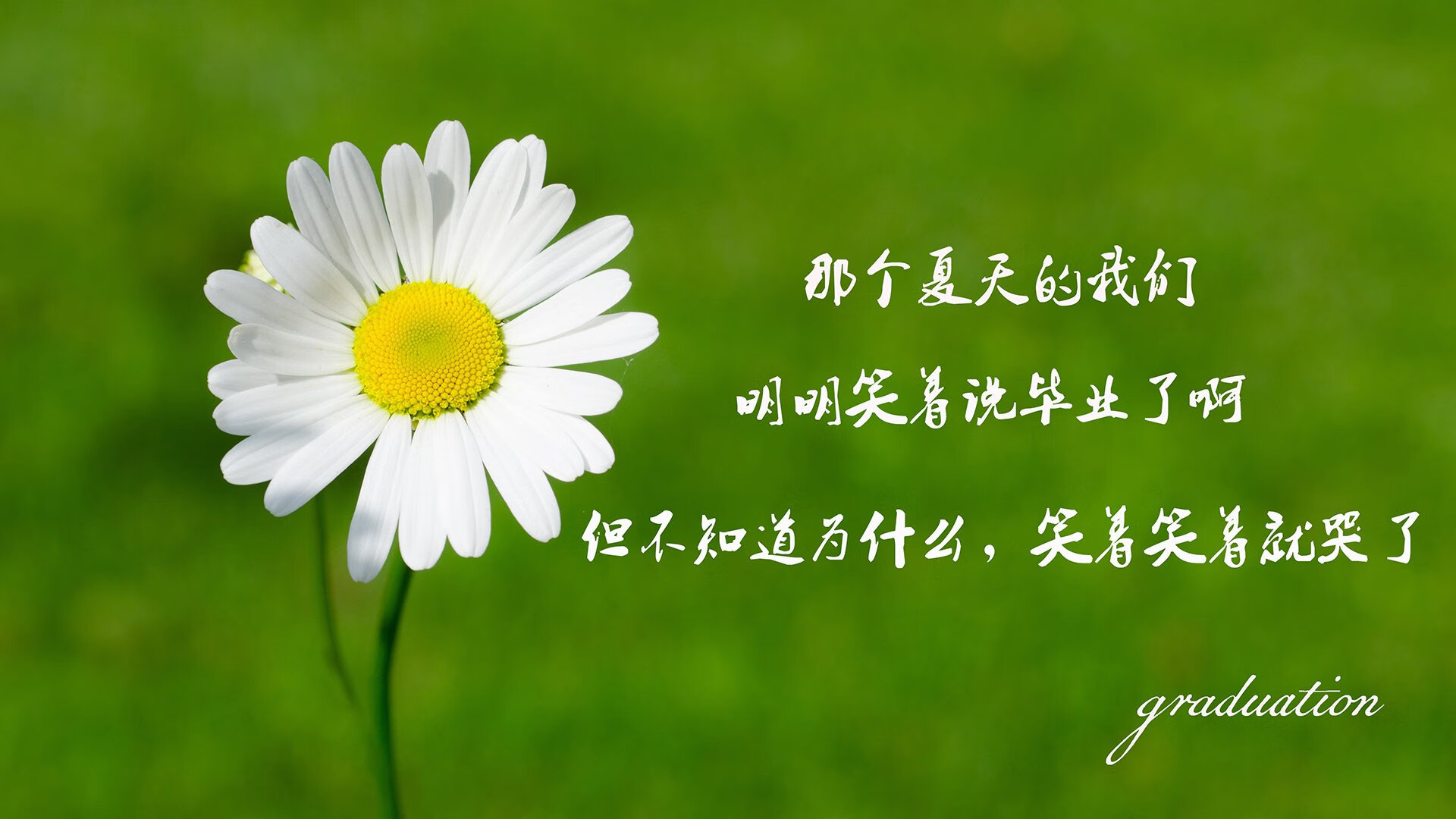 2026世界杯豪门对话唯一剧本,哥伦比亚碾压式复仇,加维上帝模式下的冷血独白