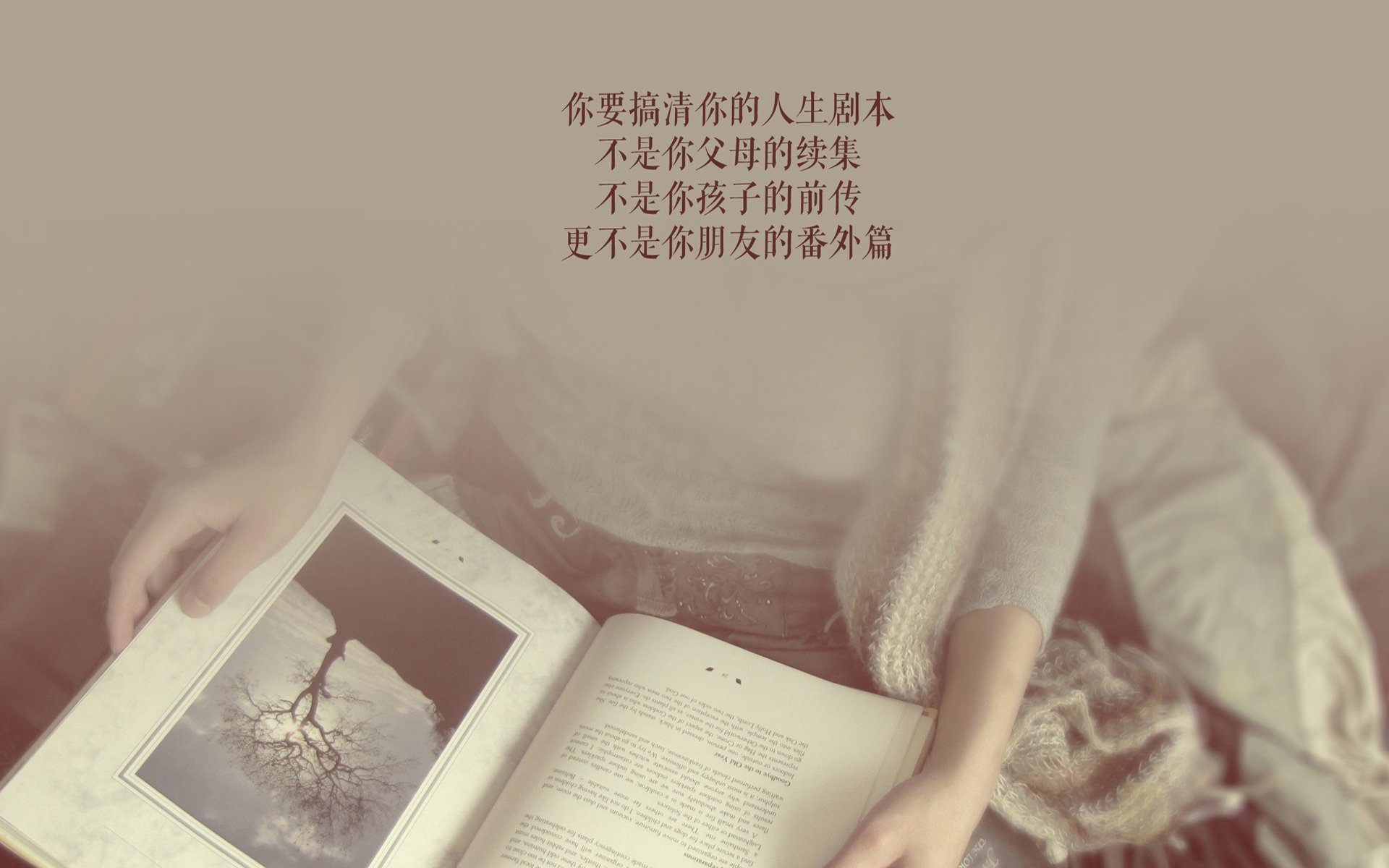 冰与火之歌,2026世界杯C组生死战 德式战车碾碎安第斯之鹰 替补奇兵努涅斯上演3秒神迹