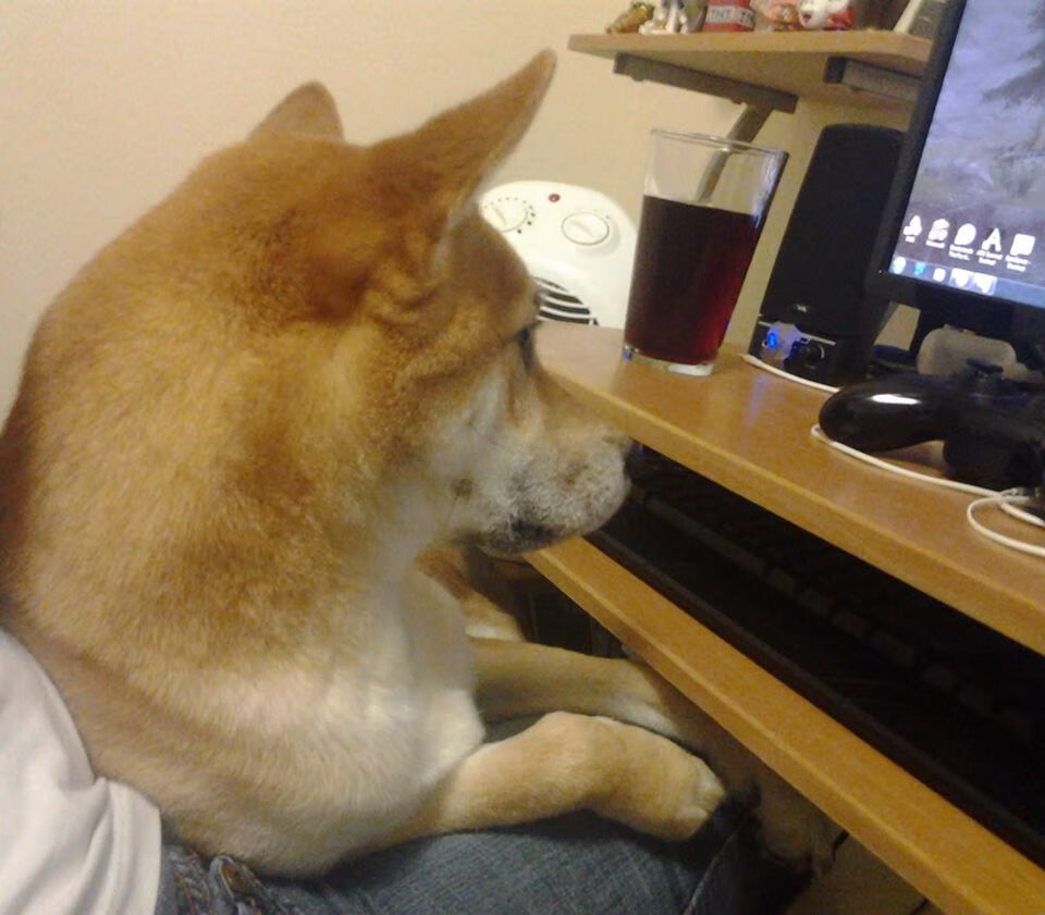 黑马狂奔的致命一击,当迪亚斯的灵光,照亮了E组死亡之组的黄昏