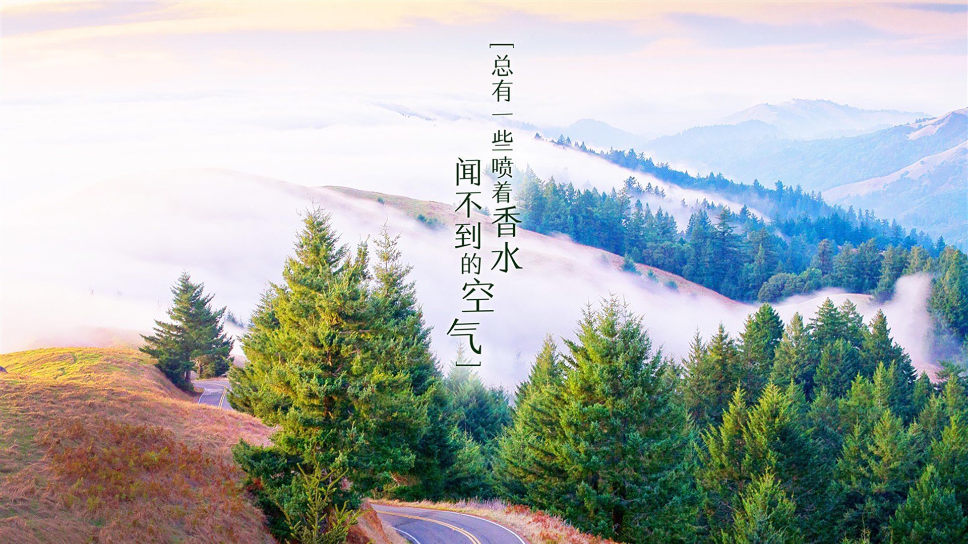 巴别塔的诅咒与航海家的逆袭,当姆巴佩的神话在罗马城墙前碎落